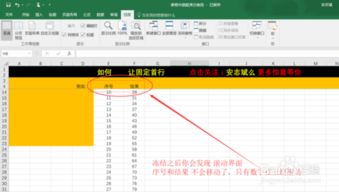 excel怎么固定一列