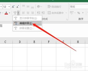 Excel拼音怎么删除