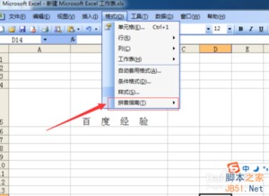 excel 拼音怎么打