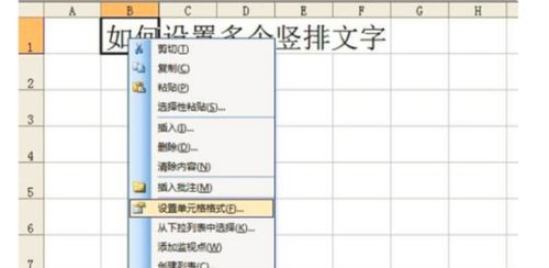 EXCEL怎么竖着排字