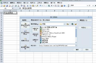 怎么在excel找文件