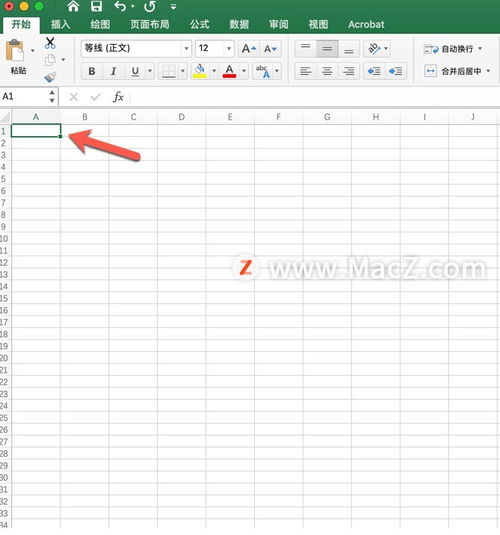 excel怎么粘贴号码