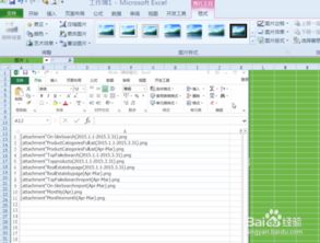 excel 怎么贴照片