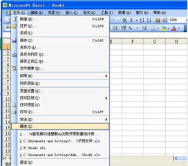 excel有性怎么设置