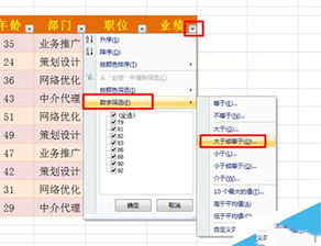 怎么excel筛选固定 第1张