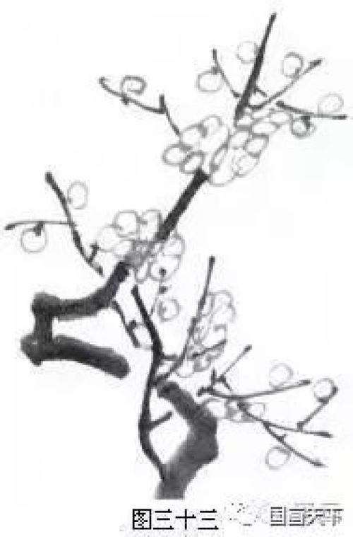 excel怎么画梅花