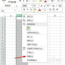 excel怎么隐藏格