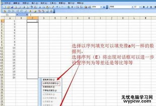 怎么运用excel填充