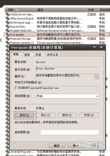 ai怎么转成excel