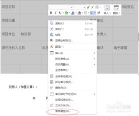 excel技巧怎么加线