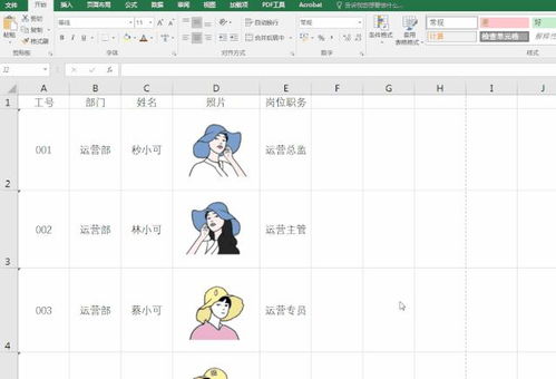 EXCEL照片怎么摆
